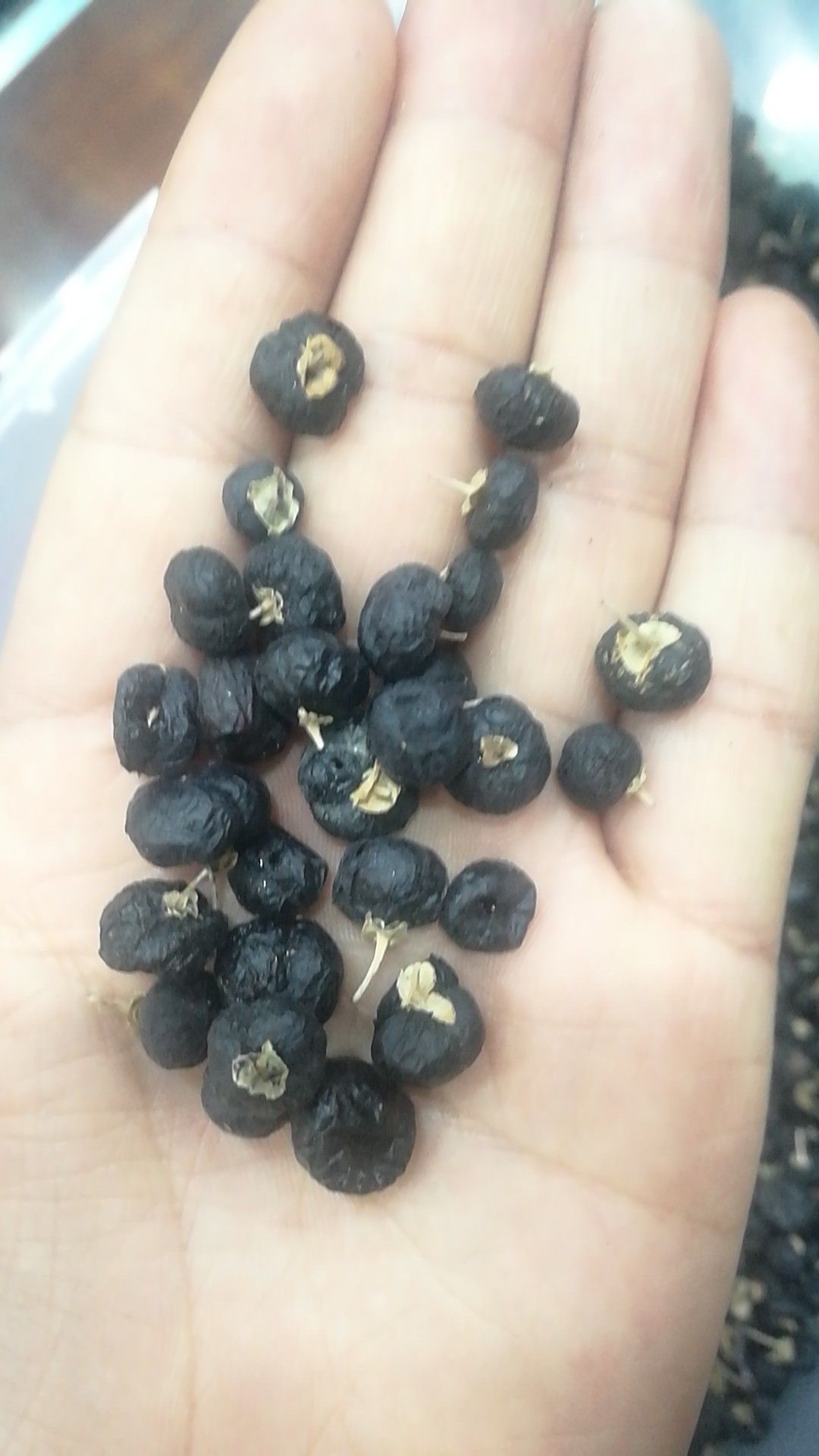 黑枸杞 冻干圆粒大果  好品相，高品质，低价格 全国包邮