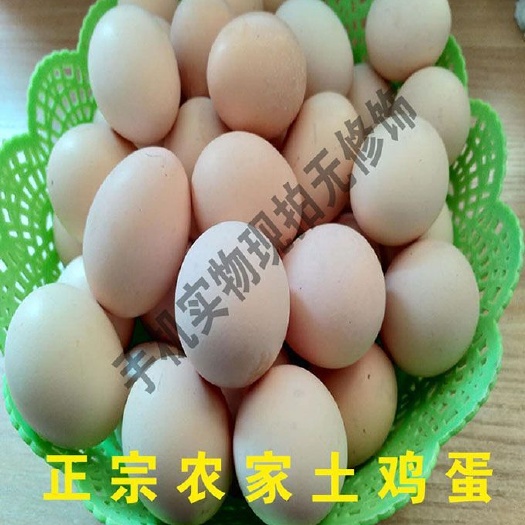 元氏县土鸡蛋 食用 礼盒装 