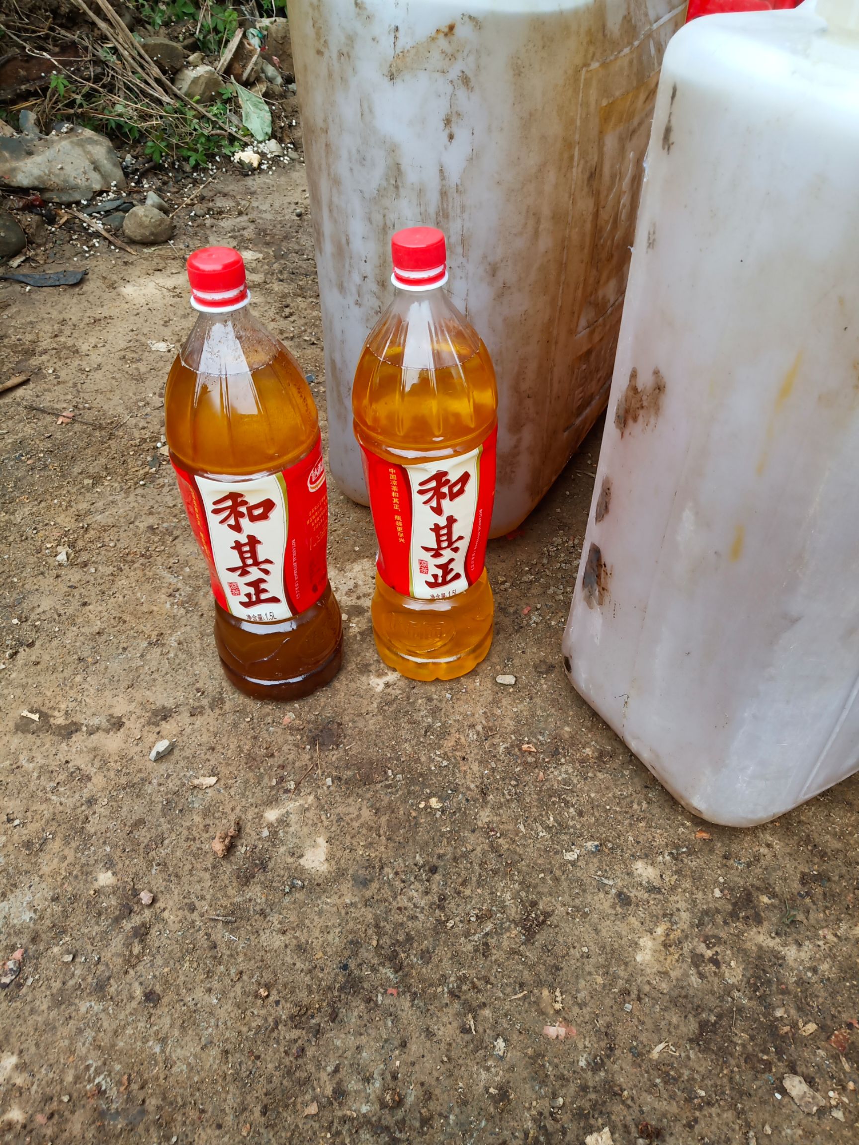压榨山茶油