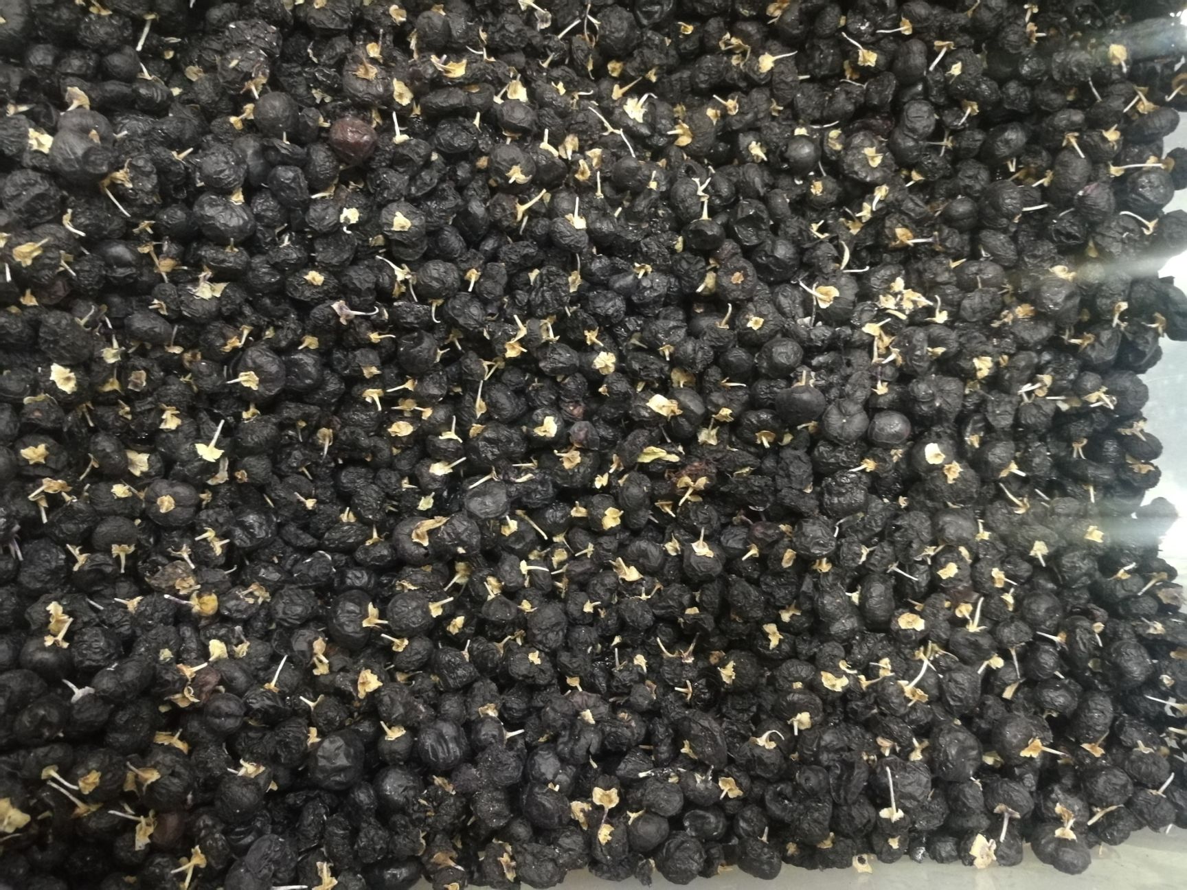 黑枸杞 冻干圆粒大果  好品相，高品质，低价格 全国包邮