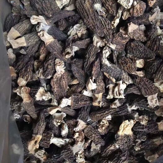 西宁羊肚菌 无杂质，精选厚肉大个