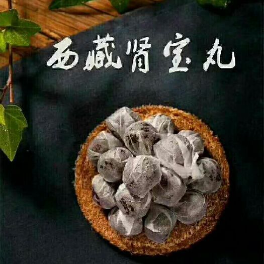 西宁 双肾草