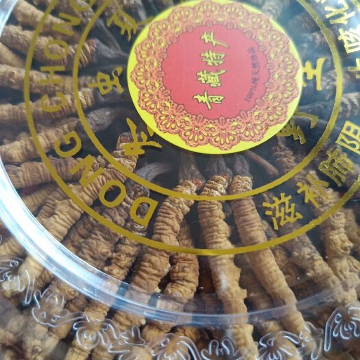 瓜州县冬虫夏草 