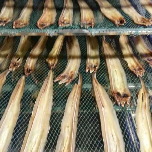 钦州鳗鱼干 