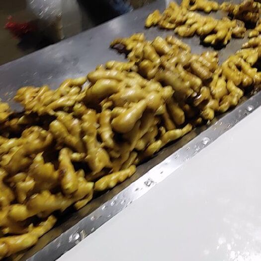 昌乐县面姜 精品大姜天天发货，短胖，颜色好，形状好，