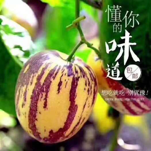 民勤县民勤人参果 3 - 4两以上 