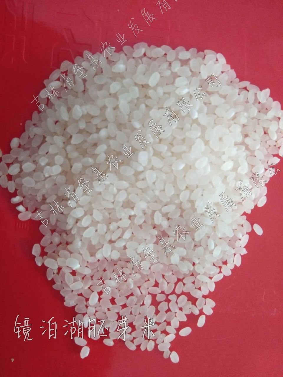 响水大米 一等品 一季稻 籼米 