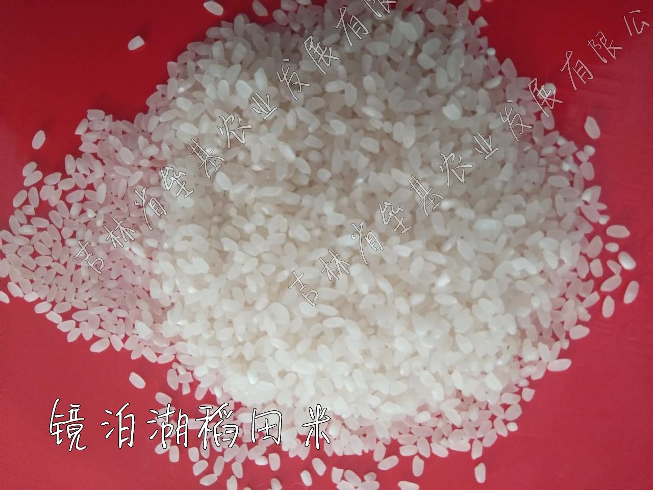 响水大米 一等品 一季稻 籼米 