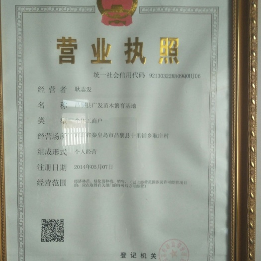 昌黎县克伦生葡萄苗 