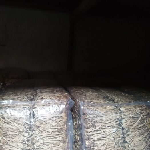 屏南县古田茶树菇 16cm以上 未开伞 干茶树菇 