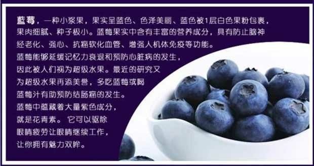 平邑县兔眼蓝莓苗 