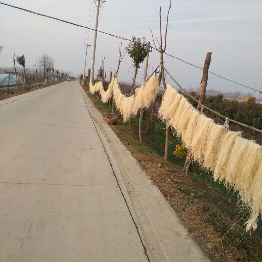 阜阳粉丝 