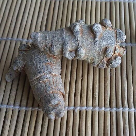三七  文山三七，春三七
