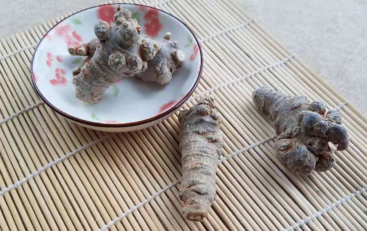 三七  文山三七，春三七