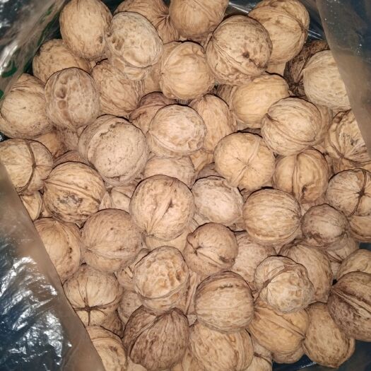 临县汾阳核桃 