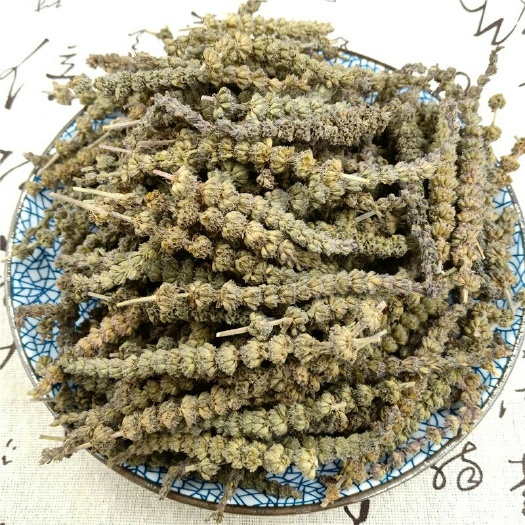 安国市河北荆芥穗