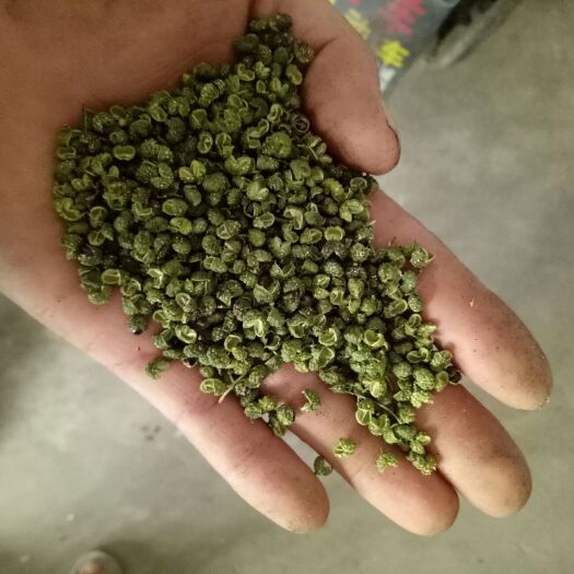 金阳县青花椒 二级 干花椒 