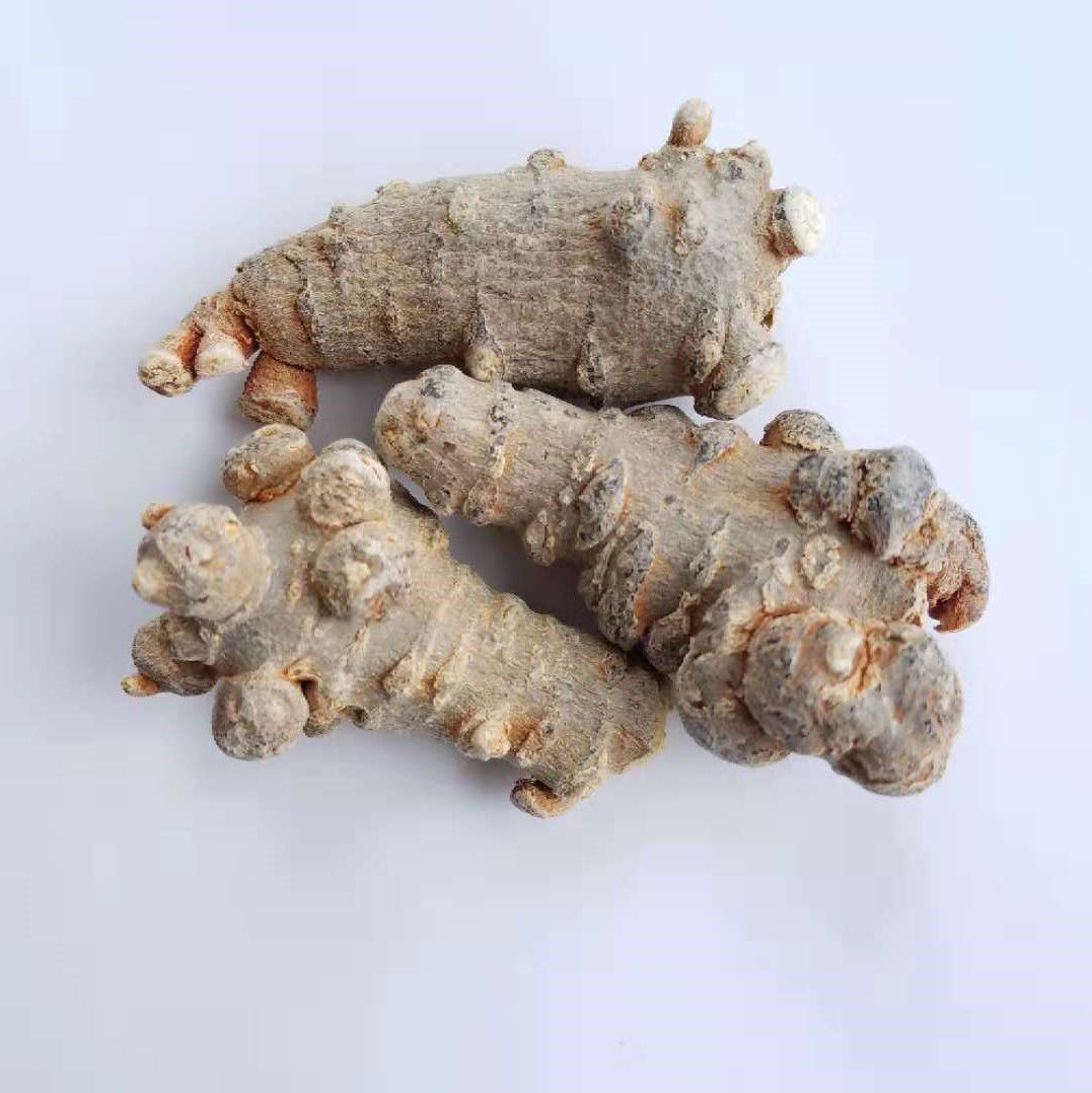 三七  文山三七，春三七