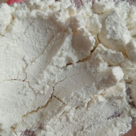 广饶县自磨面粉 高筋面粉  自磨面粉 高筋面粉
