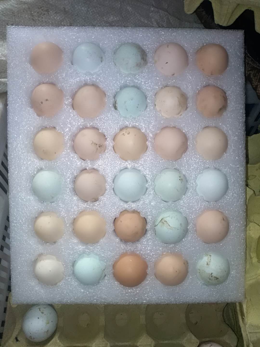 土鸡蛋 食用 箱装 