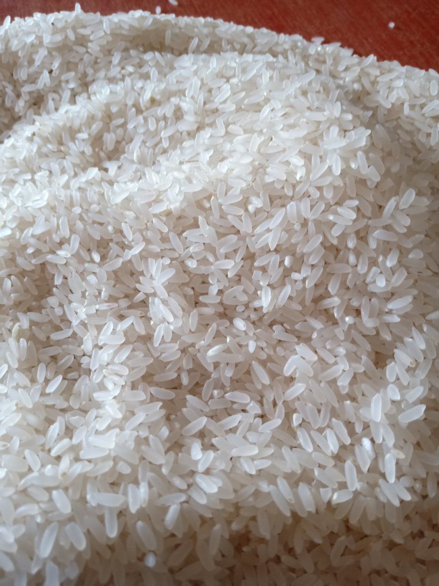镇赉县东北有机弱碱米 一等品 一季稻 粳米 
