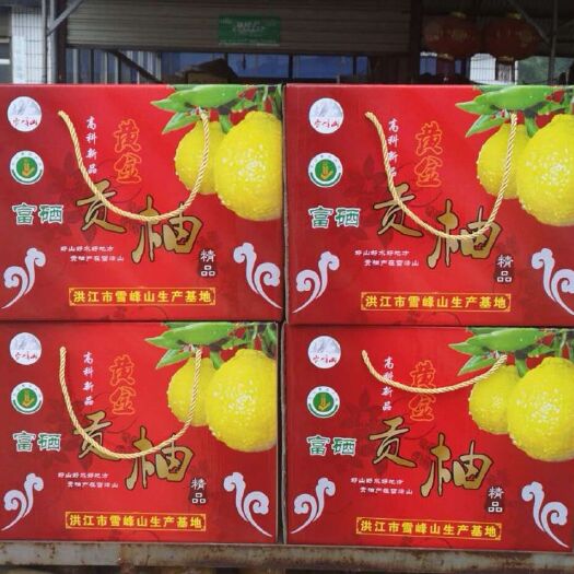 洪江市 黄金贡柚春香桔柚现货发售