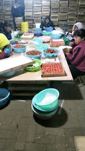 平度市甜宝草莓 20克以下 