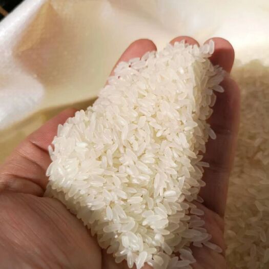 北京 稻花香大米 一等品 一季稻 粳米 