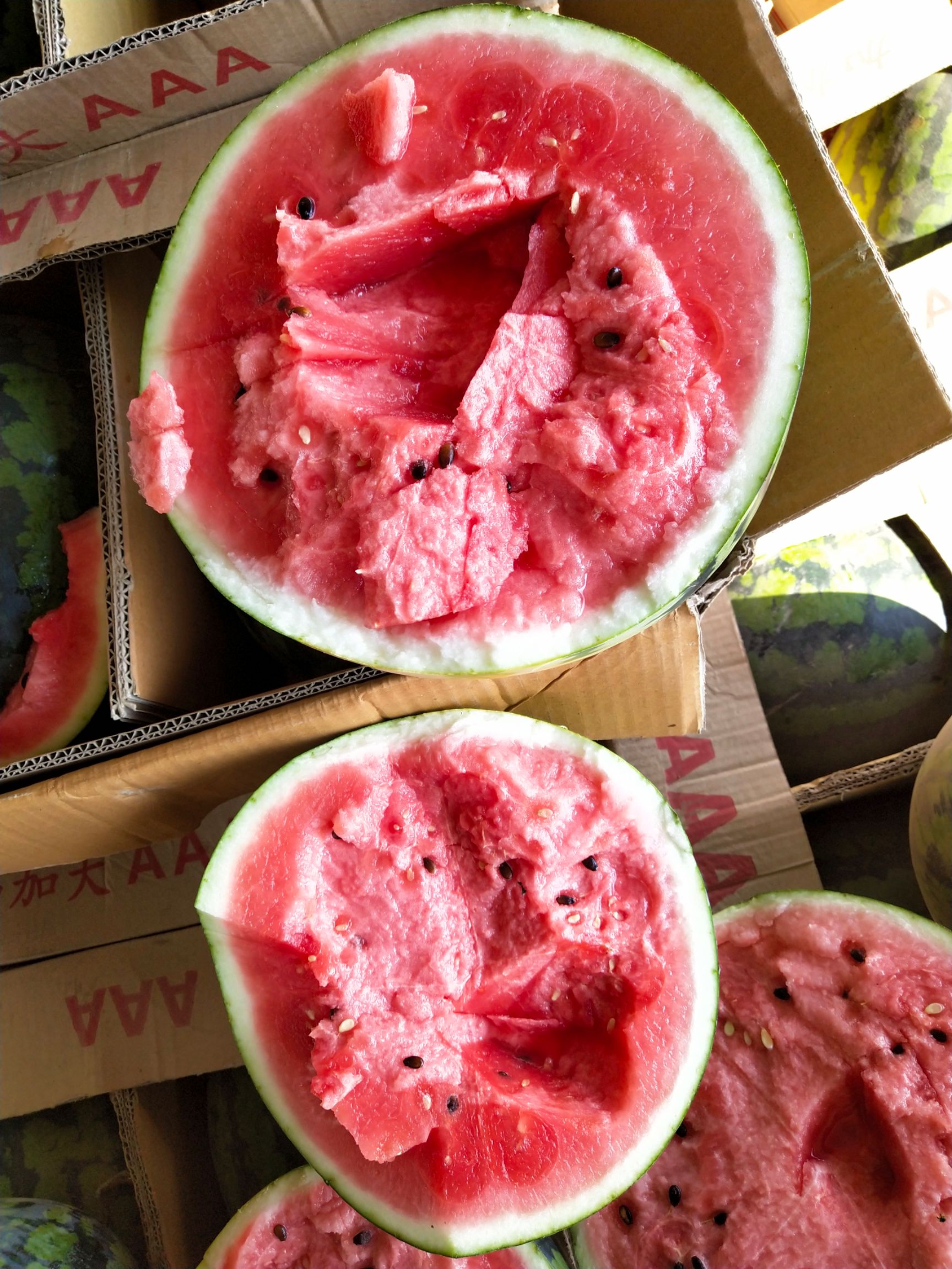 15斤打底纸箱西瓜