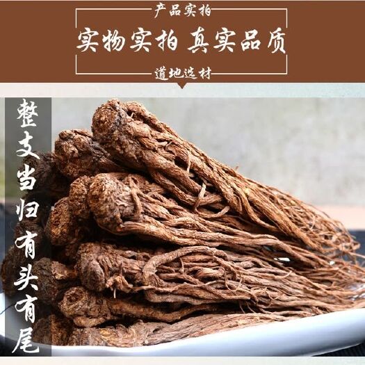 岷县岷当归 