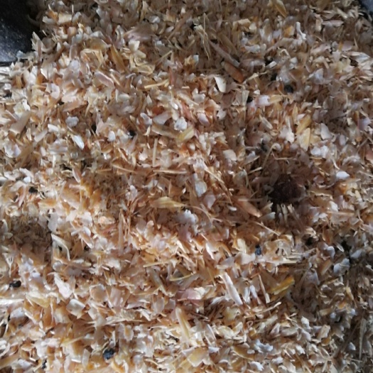 海兴县虾糠 