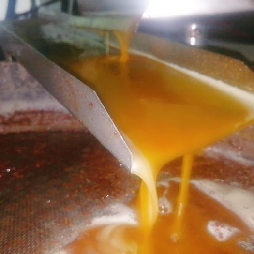 邵东市现榨山茶油 