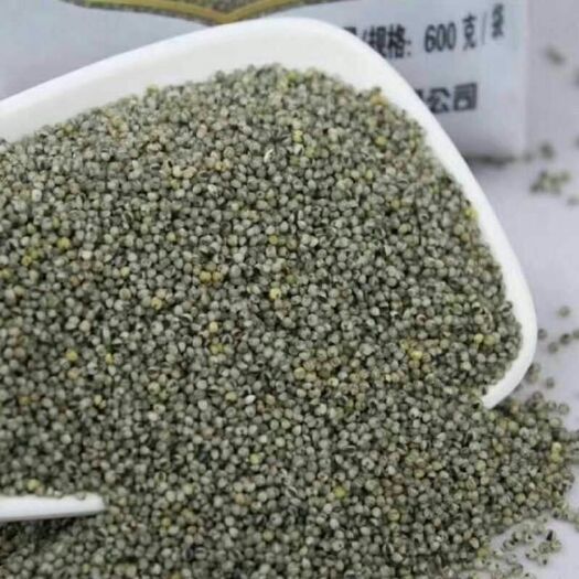 蒙阴县黑小米 