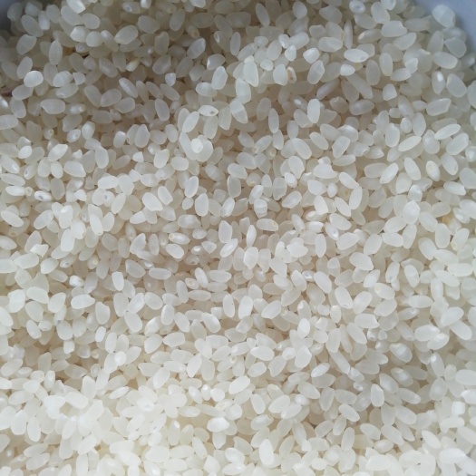 南京南梗46号大米 一等品 一季稻 粳米 