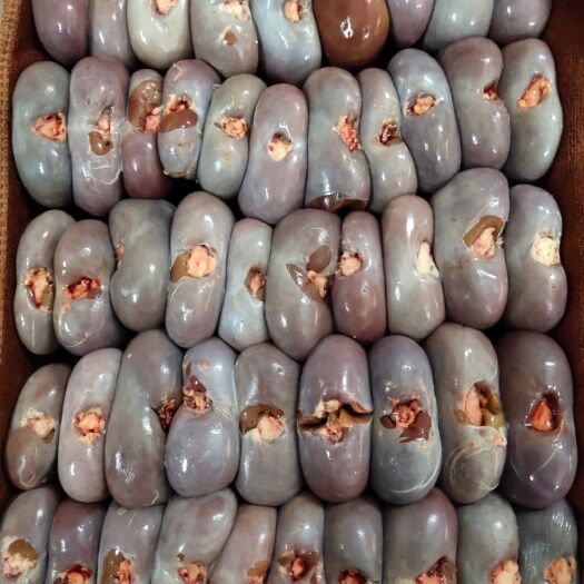 平南县羊腰 