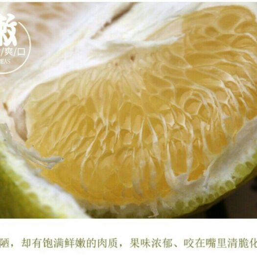衢州春香 统货 2 - 3两 