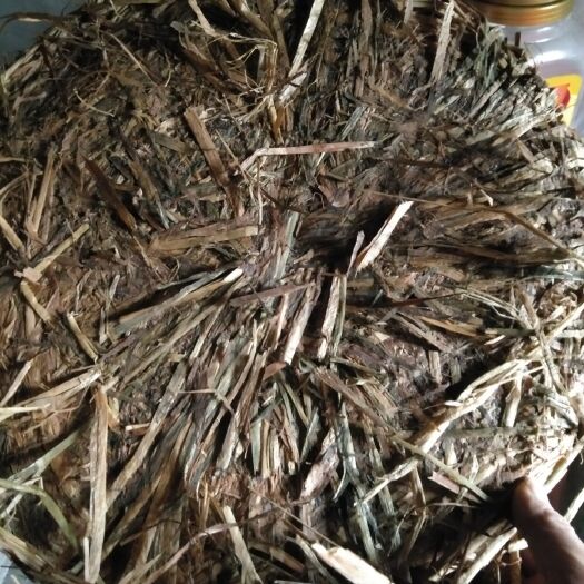 常德茶枯 