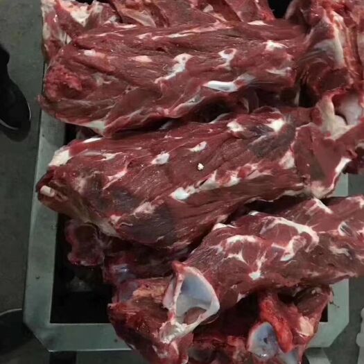 阳信县牛脖骨