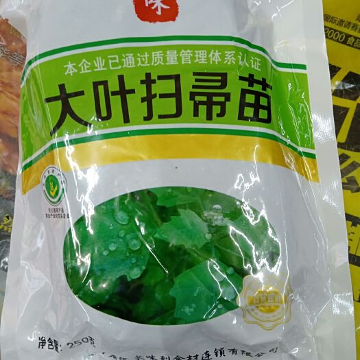 长治扫帚菜 