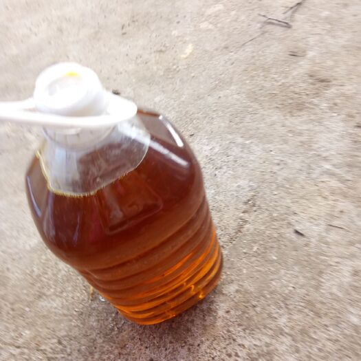 宜城市自榨纯菜籽油 