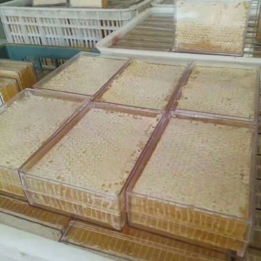 蒙阴县蜂巢蜜 盒装 2年以上  