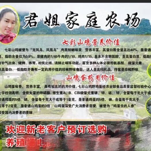 重庆市芦花鸡 3-4斤 统货 