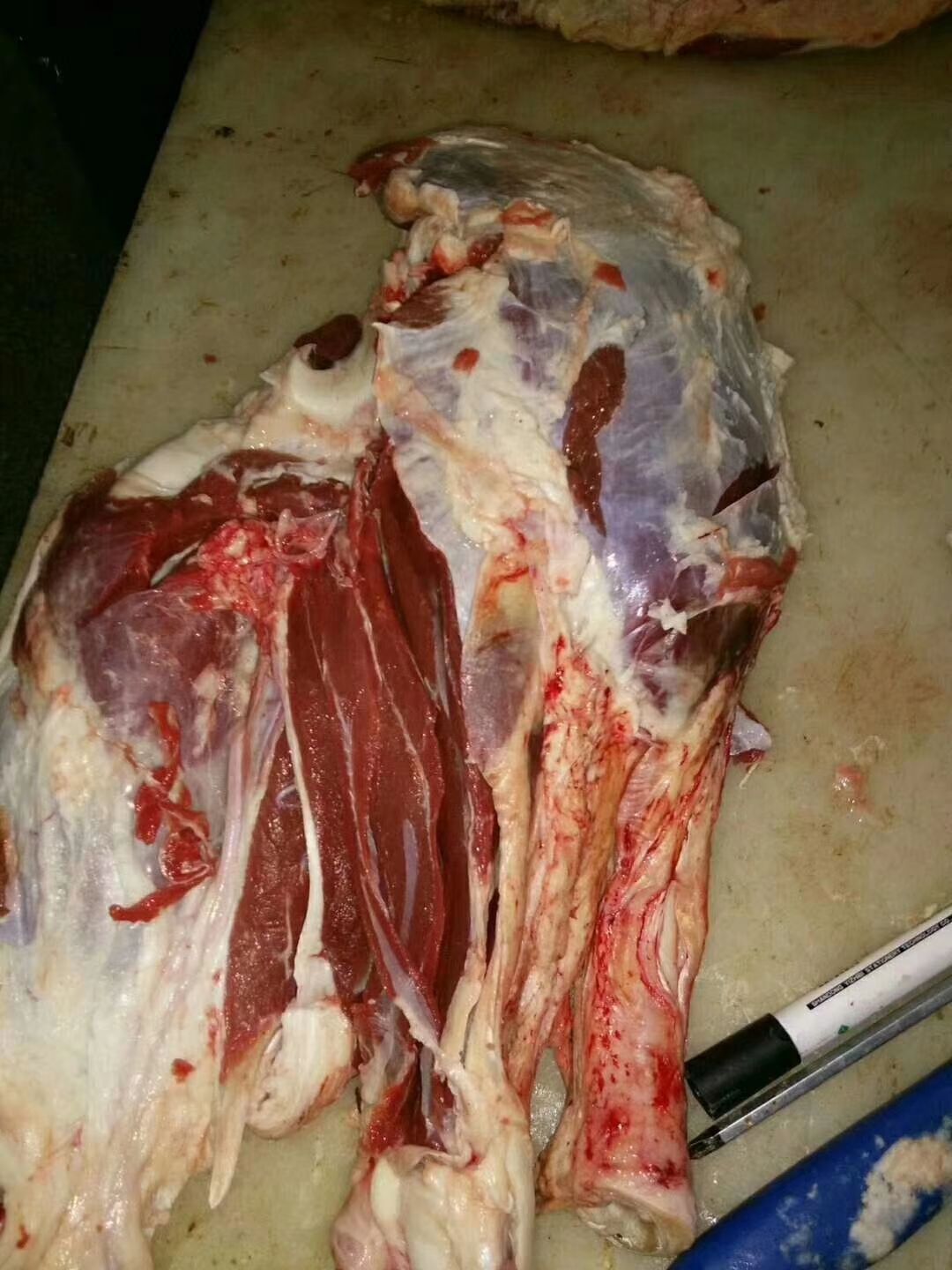 牛腱子 国产纯干牛腱