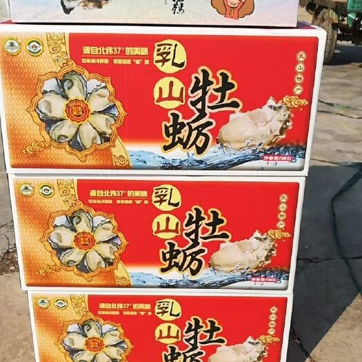 乳山市乳山牡蛎  人工养殖 3-4两/只 十斤一箱