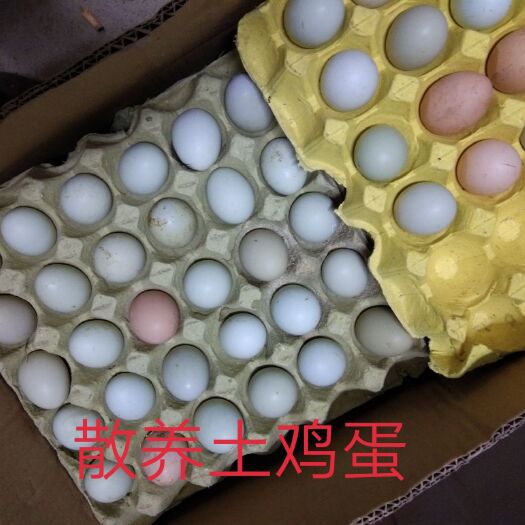 麻城市土鸡蛋 食用 箱装 