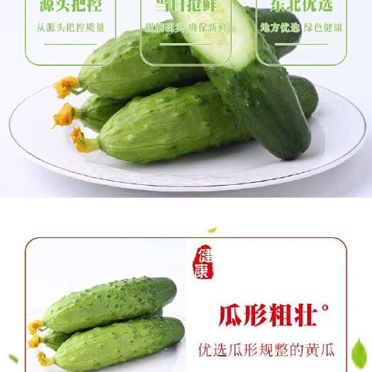 滦州市唐山秋瓜 18cm以下 干花带刺 