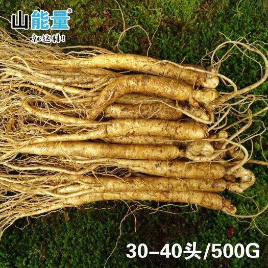 长春园参 鲜参 整根 盒装 