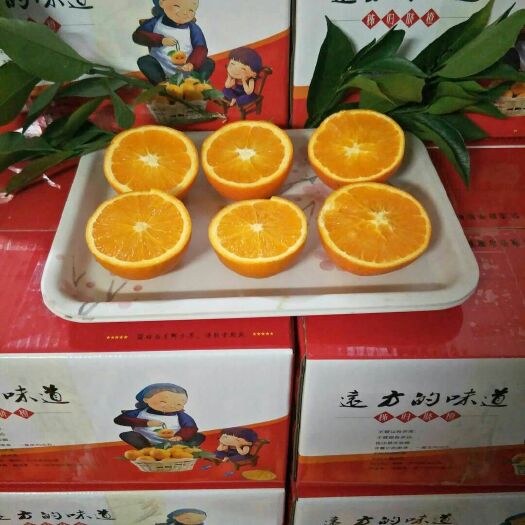 上海纽荷尔脐橙 80-85mm 4-8两 