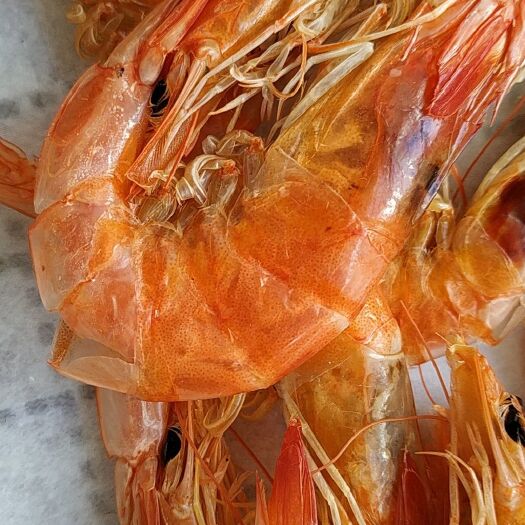 荣成市烤虾干 原产地山东威海海产品大烤虾 味道鲜美 现捕捞现烤 欢迎品尝