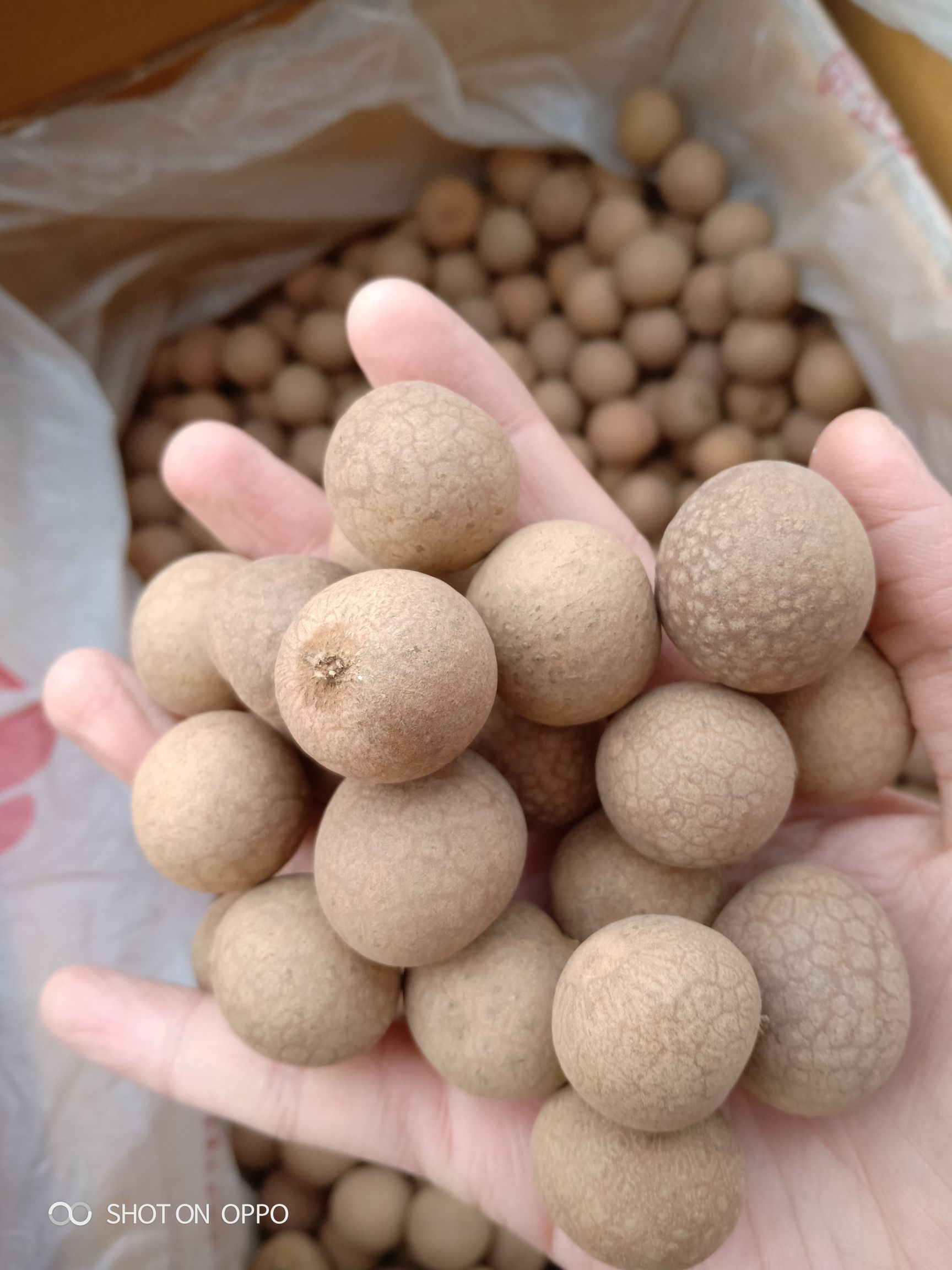 泰国桂圆干 优等 箱装 带壳 